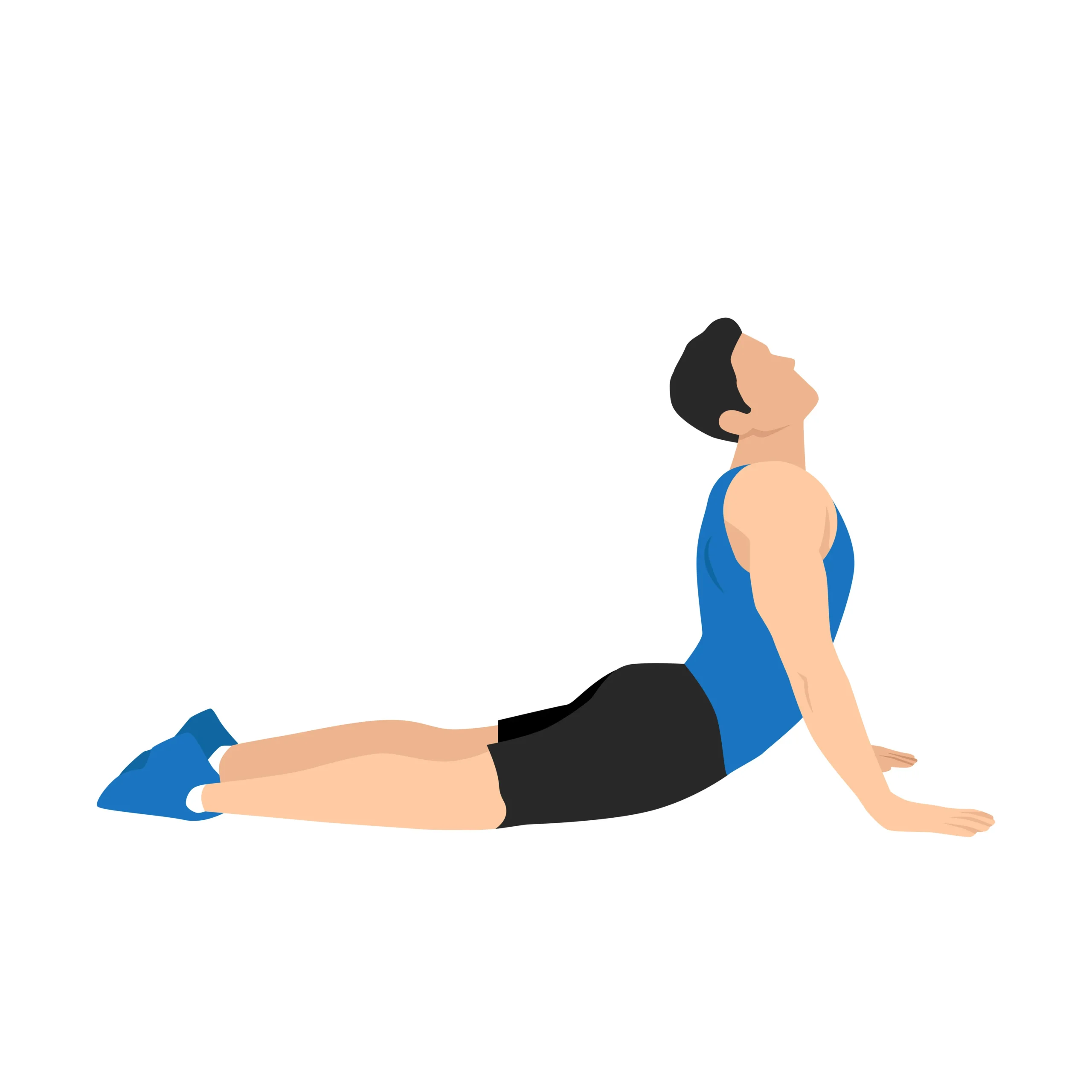 Cobra Stretch